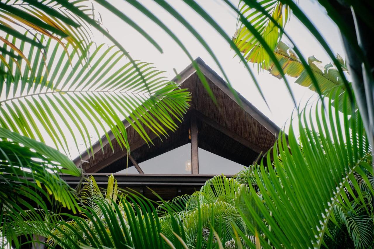 Lua Villas Playa Santa Teresa  エクステリア 写真
